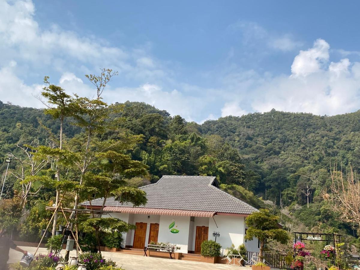 Thai Tea Garden Home Чіанграй Екстер'єр фото